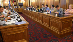 La vicepresidenta primera, Nuria Illana, presenta su dimisión en el Pleno por motivos personales