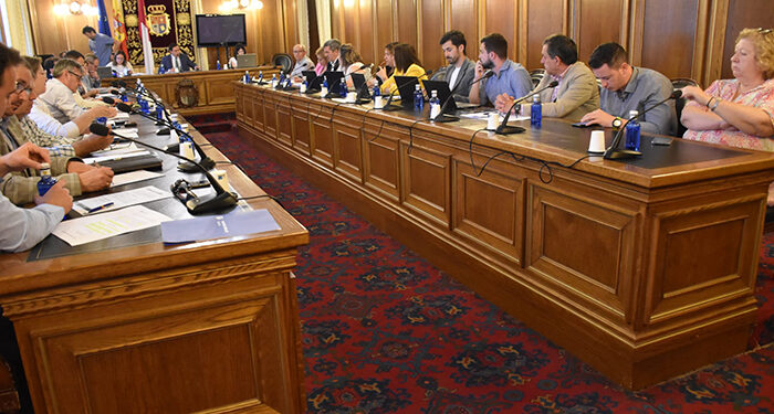 La vicepresidenta primera, Nuria Illana, presenta su dimisión en el Pleno por motivos personales