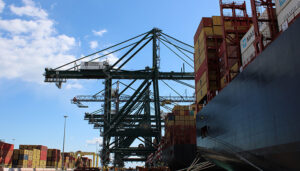 Los productos de Cuenca vuelven a estar de moda en febrero tras cuatro meses en negativo