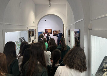 Más de 1.000 escolares visitan la exposición inmersiva “El Quijote a través del Tiempo” en el Museo de Cuenca Más de 1.000 escolares visitan la exposición inmersiva “El Quijote a través del Tiempo” en el Museo de Cuenca