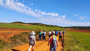 Más de 200 personas se dan cita en Málaga del Fresno en la segunda edición del Día de la Campiña Alta