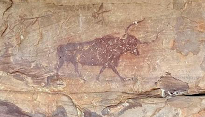 Solana recrimina al PSOE que considere que 150.000 euros son suficientes para conservar y reimpulsar turísticamente las Pinturas Rupestres de Villar del Humo