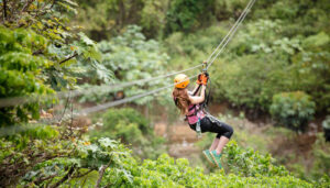 Toroverde recibe la Declaración de Interés Regional y avanza en su implantación en Cuenca