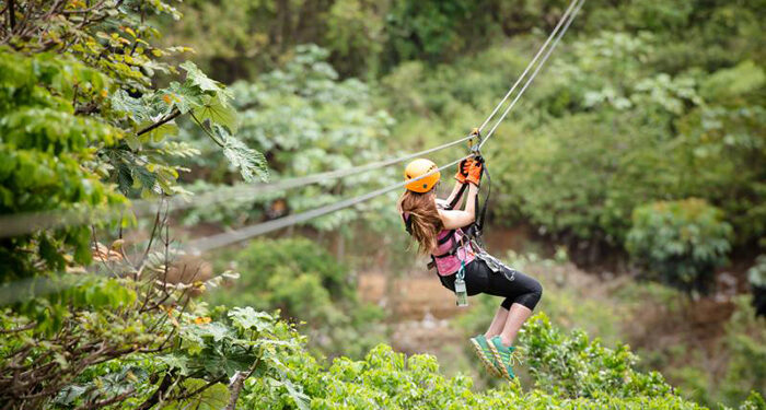 Toroverde alcanza la fase de tramitación ambiental para su proyecto en Cuenca 1 Toroverde recibe la Declaración de Interés Regional y avanza en su implantación en Cuenca