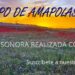 La banda sonora de este Campo de Amapolas está realizada con IA 3 La banda sonora de este Campo de Amapolas está realizada con IA