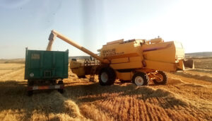 ASAJA Cuenca pide a Ministerio de Agricultura y UE que prohíban la importación de grano en campaña para evitar el desplome de los precios