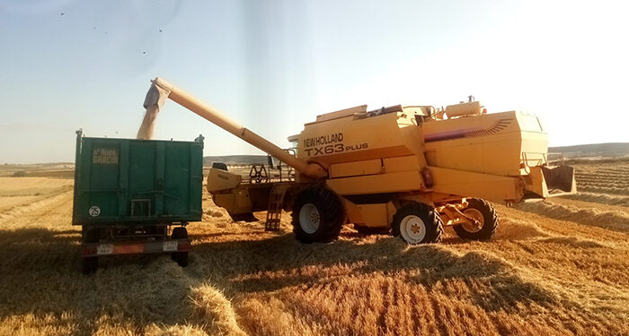 ASAJA Cuenca pide a Ministerio de Agricultura y UE que prohíban la importación de grano en campaña para evitar el desplome de los precios 1 ASAJA Cuenca pide a Ministerio de Agricultura y UE que prohíban la importación de grano en campaña para evitar el desplome de los precios