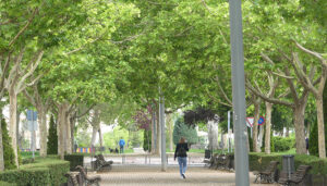 CEOE-Cepyme Cuenca promueve empresas comprometidas con el medio ambiente