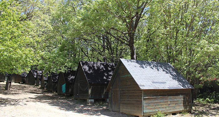 Castilla-La Mancha adjudica casi mil plazas para las actividades en campamentos y albergues que forman parte del programa Verano Joven