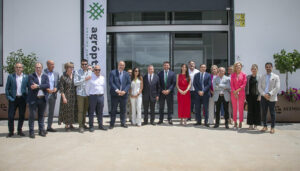 Castilla-La Mancha ultima el Plan Estratégico del Pistacho, que incluirá la futura IGP y el diez por ciento adicional para el sector en las ayudas FOCAL