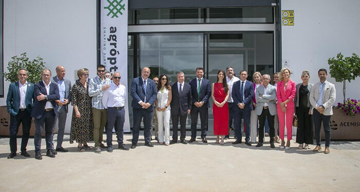 Castilla-La Mancha ultima el Plan Estratégico del Pistacho, que incluirá la futura IGP y el diez por ciento adicional para el sector en las ayudas FOCAL 1 Castilla-La Mancha ultima el Plan Estratégico del Pistacho, que incluirá la futura IGP y el diez por ciento adicional para el sector en las ayudas FOCAL