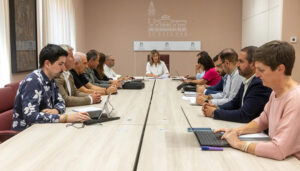 El Ayuntamiento de Guadalajara da trámite a cinco plantas solares y dos líneas de evacuación