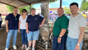 El Grupo Popular defiende el mantenimiento de la Feria del Ganado de Hiendelaencina