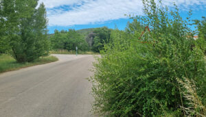 El Grupo Popular preguntará en el Pleno sobre la falta de limpieza de las cunetas de las carreteras provinciales de Guadalajara