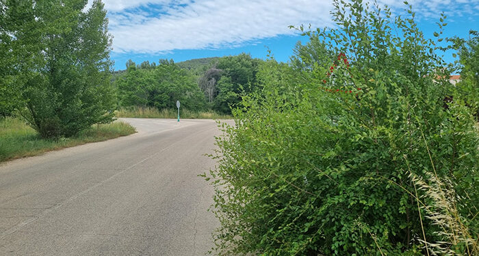 El Grupo Popular preguntará en el Pleno sobre la falta de limpieza de las cunetas de las carreteras provinciales de Guadalajara 1 El Grupo Popular preguntará en el Pleno sobre la falta de limpieza de las cunetas de las carreteras provinciales de Guadalajara