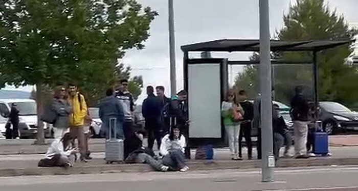 El PP pide a Dolz que “se deje de excusas” y ponga en marcha de forma inmediata el servicio de lanzaderas al AVE