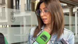 El PSOE estudia acudir al Defensor del Pueblo “ante los impedimentos que Guarinos nos pone para desarrollar nuestra labor de oposición”