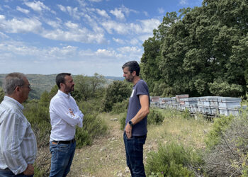 Escudero visita la explotación apícola de la Miel de Torronteras, Premio Gran Selección Campo y Alma 2024 3 Escudero visita la explotación apícola de la Miel de Torronteras, Premio Gran Selección Campo y Alma 2024