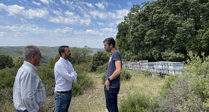 Escudero visita la explotación apícola de la Miel de Torronteras, Premio Gran Selección Campo y Alma 2024 1 Escudero visita la explotación apícola de la Miel de Torronteras, Premio Gran Selección Campo y Alma 2024