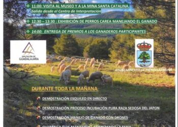 Hiendelaencina celebra este sábado su XXXVIII Feria del Ganado