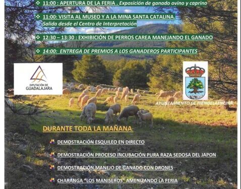 Hiendelaencina celebra este sábado su XXXVIII Feria del Ganado