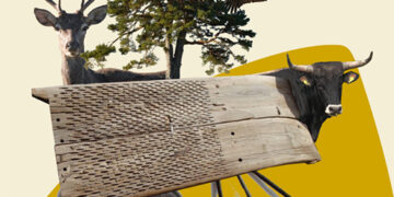 III Feria Rural de la Serranía en Tragacete, un evento para impulsar el ecoturismo y la economía local en torno a la naturaleza