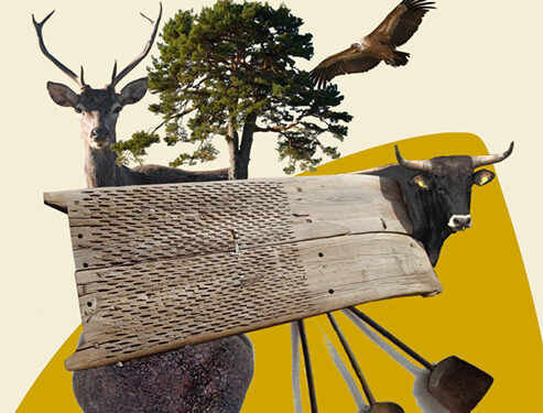 III Feria Rural de la Serranía en Tragacete, un evento para impulsar el ecoturismo y la economía local en torno a la naturaleza 1 III Feria Rural de la Serranía en Tragacete, un evento para impulsar el ecoturismo y la economía local en torno a la naturaleza