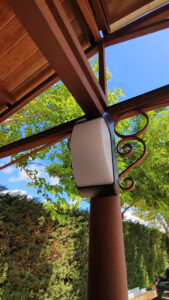 IMG 20240611 115154 PEQUENA