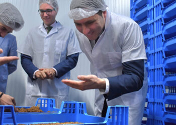 InsectEAT, ganador del II Integra 4.0, inaugura la primera biorrefinería de insectos de España en Cañaveras