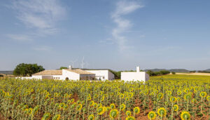 La 'Casa de Campo' de Zafra de Záncara, Premio COACM Arquitectura Obra Nueva Vivienda
