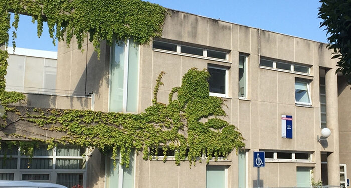 La Junta destina cerca de 800.000 euros a la gestión integral del centro de Día de la residencia de mayores ‘La Rosaleda’ en Guadalajara 1 La Junta destina cerca de 800.000 euros a la gestión integral del centro de Día de la residencia de mayores ‘La Rosaleda’ en Guadalajara