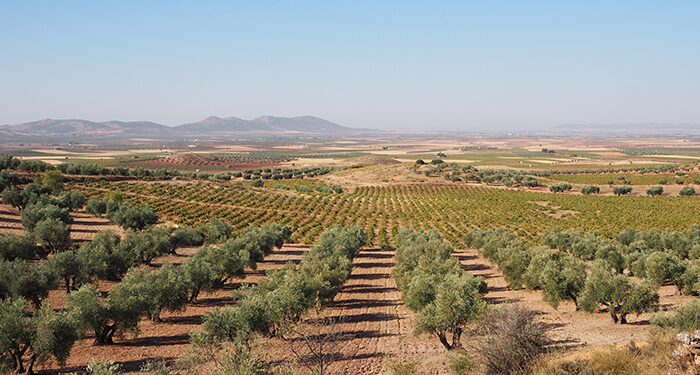 La Junta trabaja para tomar medidas que palíen los daños ocasionados por la sequía en el sureste de la región