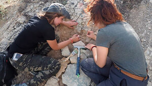 Sigüenza acoge hasta el sábado las Jornadas Paleontológicas IX Centenario