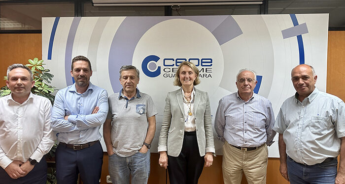 Teresa Quiles, reelegida presidenta de la Asociación Provincial de Talleres de Guadalajara 1 Teresa Quiles, reelegida presidenta de la Asociación Provincial de Talleres de Guadalajara