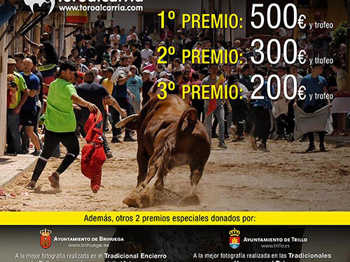 ToroAlcarria convoca su 17º Concurso de Fotografía Taurina en la víspera de las Vacas por el Tajo