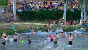 Unas 9.000 personas se congregan en Trillo para disfrutar de una multitudinaria y exitosa edición de las Vacas por el Tajo