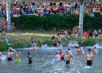 Unas 9.000 personas se congregan en Trillo para disfrutar de una multitudinaria y exitosa edición de las Vacas por el Tajo