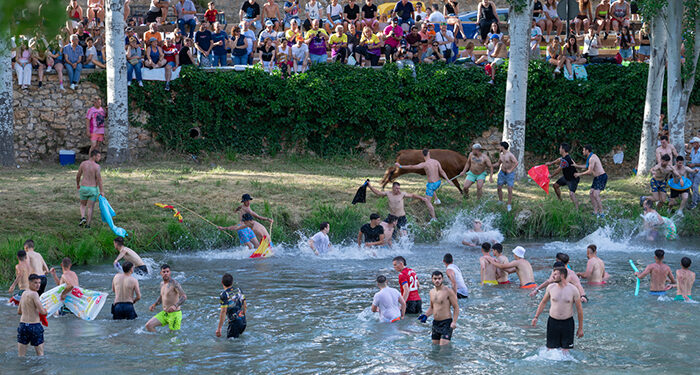 Unas 9.000 personas se congregan en Trillo para disfrutar de una multitudinaria y exitosa edición de las Vacas por el Tajo