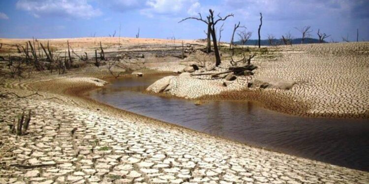 José Illana, Turismo Sacedón: "no quiero ver a mi pueblo eternamente condenado cuando hay alternativas a nuestras puertas" 1 10421497 824612024223848 4333434902191704424 n