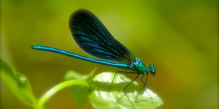 4884360835 0e7e991a85 b