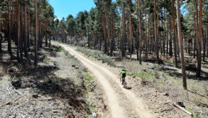 Alustante se prepara para la celebración de su primera BTT