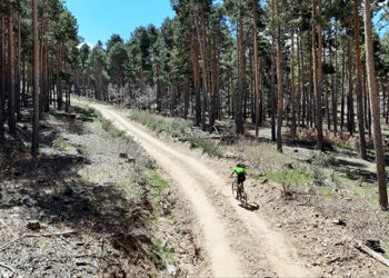 Alustante se prepara para la celebración de su primera BTT Alustante se prepara para la celebración de su primera BTT