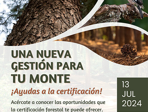 Cifuentes acoge la sesión informativa “Una nueva gestión para tu monte” dirigida a propietarios forestales de Guadalajara