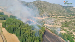 Controlado un incendio agrícola en Tomellosa