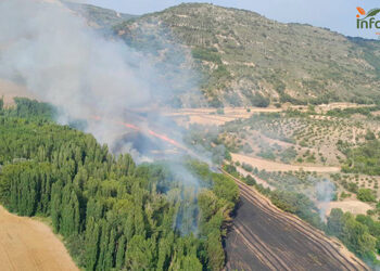 Controlado un incendio agrícola en Tomellosa