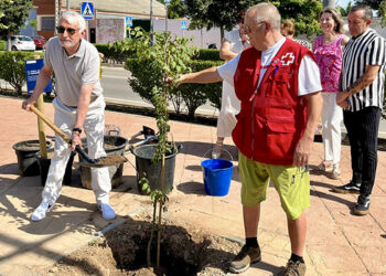 Cruz Roja planta el Árbol de la Humanidad en Tarancón como símbolo de sus 160 años de compromiso humanitario