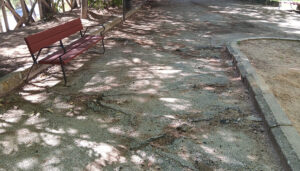 Cuenca en Marcha llevará al pleno realizar una intervención en Tiradores Altos y Santa Teresa