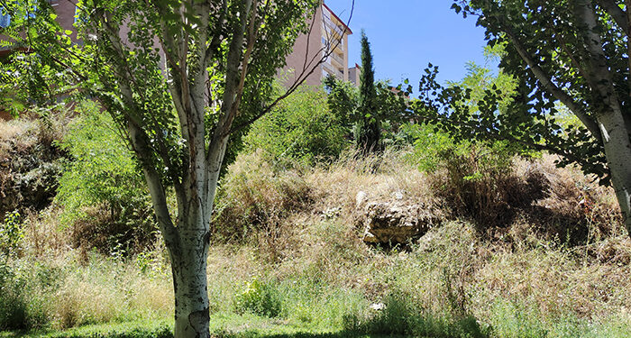 Detenido un hombre tras amenazar con un cuchillo y completamente desnudo a los peatones en el parque de la Calle Córdoba de Guadalajara