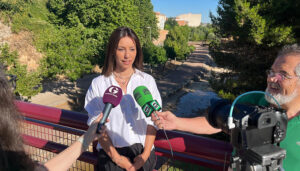 El PSOE exige a Guarinos que no retrase más arreglar las láminas del barranco del Alamín y denuncia “el completo abandono” de su entorno