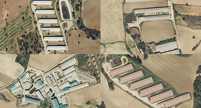 El Tribunal Supremo no admite el recurso de la Junta que pretendía autorizar una macrogranja en Huerta de la Obispalía 1 El Tribunal Supremo no admite el recurso de la Junta que pretendía autorizar una macrogranja en Huerta de la Obispalía